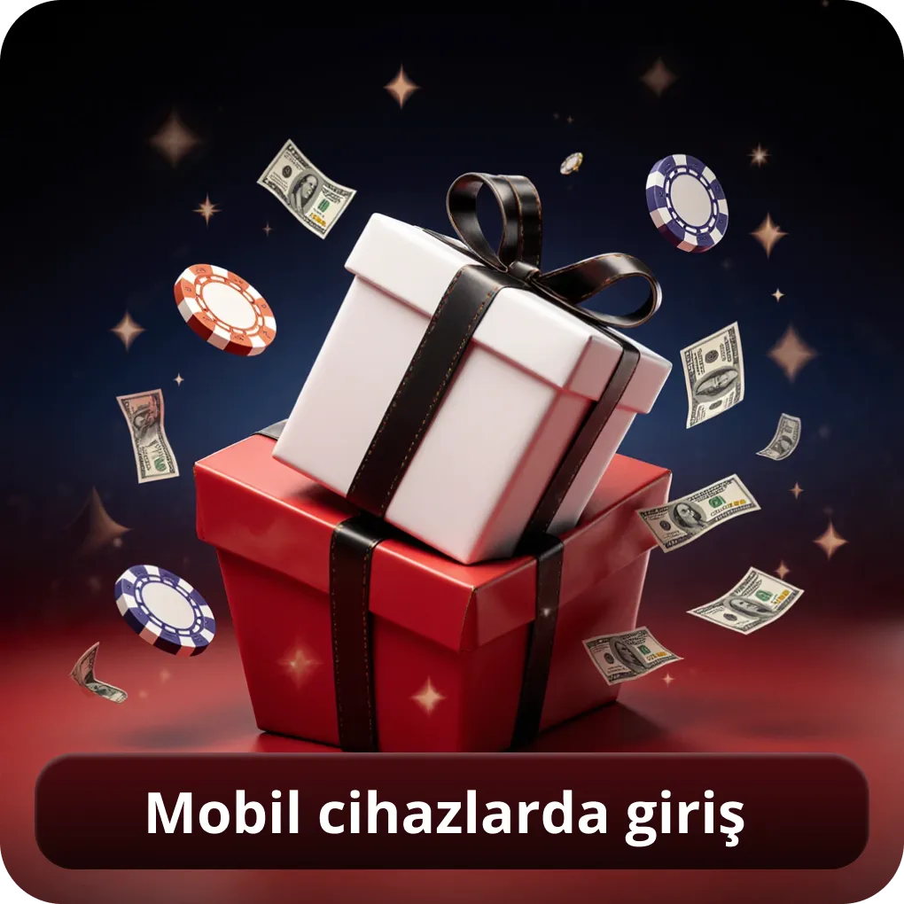 Mobil cihazlarda giriş
